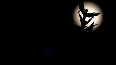 Супермісяць_5 / © Reuters