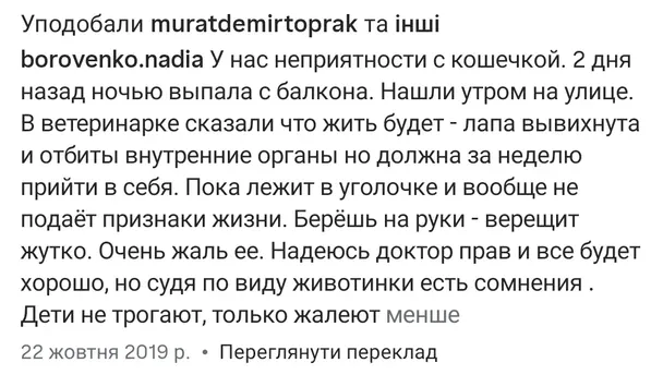 Допис Надії Боровенко. Фото: @lily_raditska