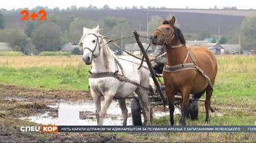 Бездоріжжя поділило село: жителі звинувачують у цьому агрокомпанію