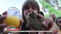 Комаров. Лучшее - удивительная еда, которую пробовал путешественник