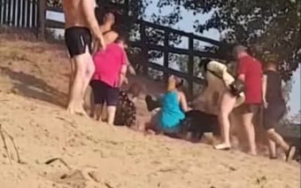 Під Дніпром службовий собака охоронця на пляжі накинувся на нетверезих відпочивальників (відео)