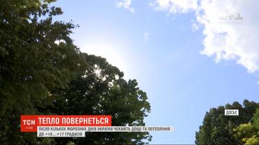 После нескольких морозных дней в Украину придут дожди и потепление