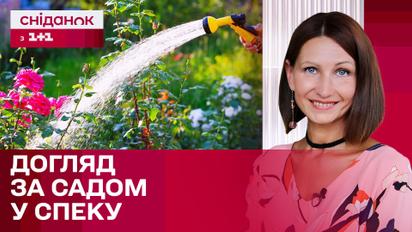 Спасаем растения в жару! Как ухаживать за садом летом – Советы Антонины Лесик