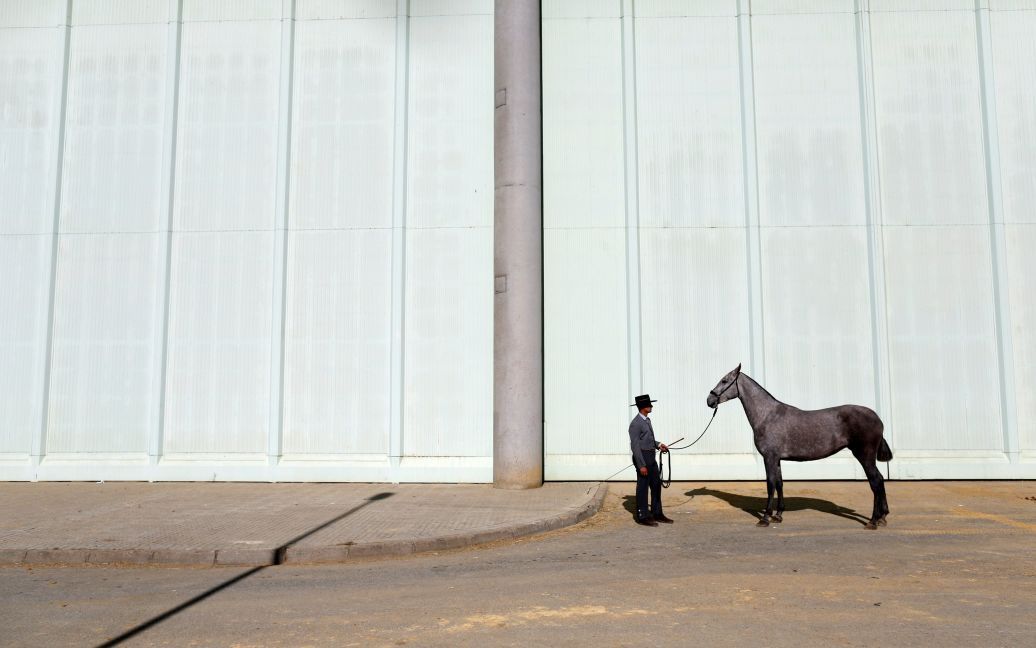 Андалузький наїзник чекає зі своїм конем породи чистокровна іспанська, щоб змагатися під час ярмарку у столиці Андалусії Севільї, на півдні Іспанії. / © Reuters