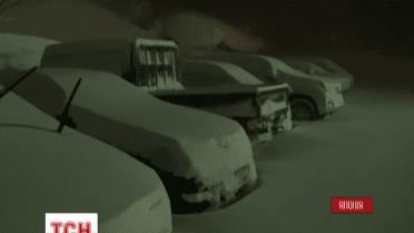 Потужна снігова буря вразила Японію