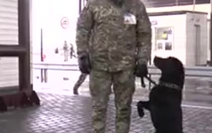Украинские пограничники научили служебного пса-патриота отвечать на лозунг “Слава Украине”