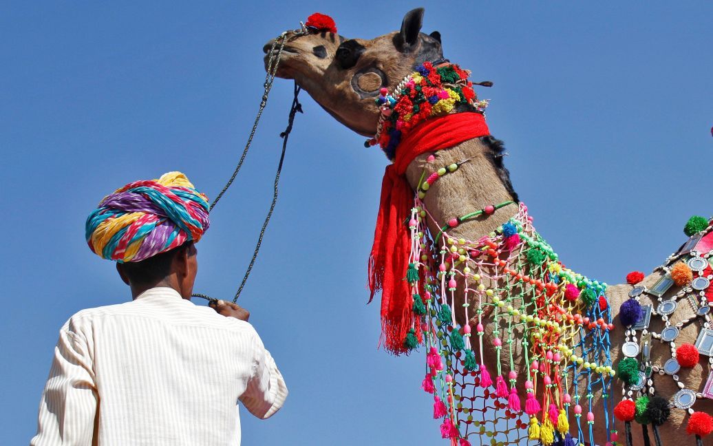 Торговець показує свого прикрашеного верблюда на ринку у пустелі в індійському штаті Раджастан, Індія. / © Reuters
