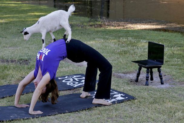  / © Associated Press