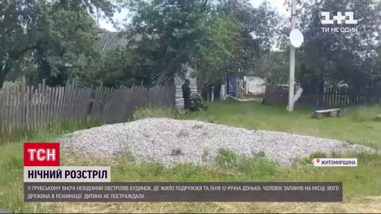 Дитина викликала поліцію: у Житомирській області чоловік через 23 тис. грн розстріляв родину, подробиці
