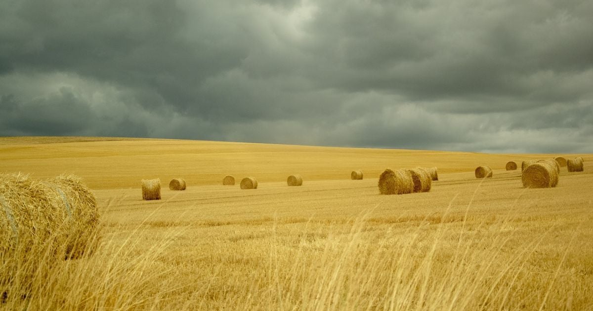 Какой праздник 2 сентября?