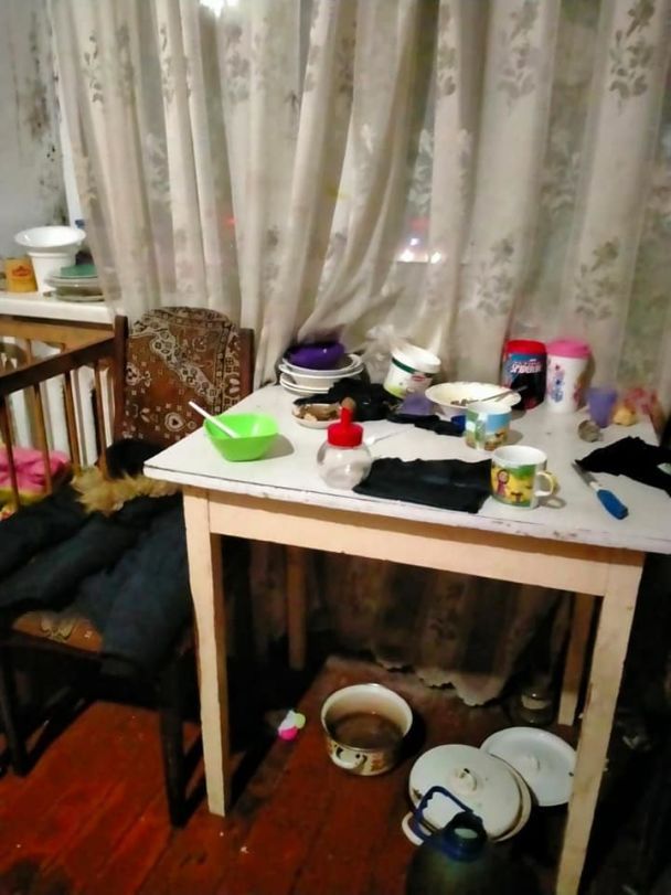  / © ГУНП в Житомирской области