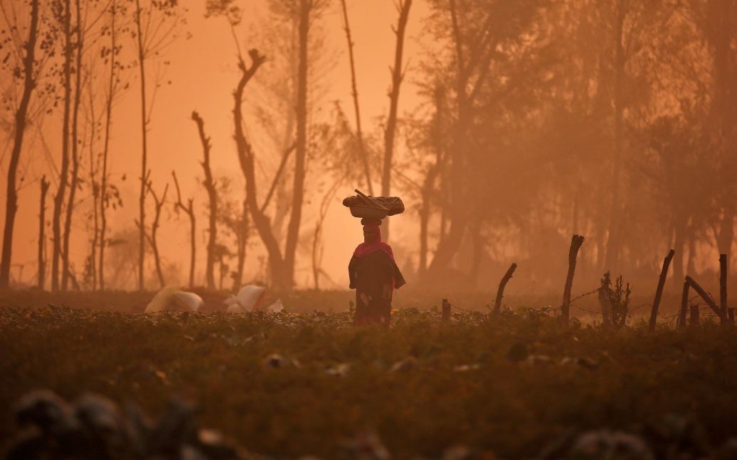 Жінка несе кошик на голові через поле овочів під час туманного ранку на околиці Срінагара. / © Reuters