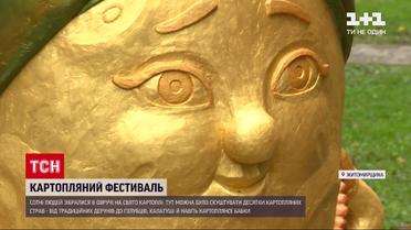 Новости Украины: фестиваль картофеля - в Житомирской области участники удивляли рецептам