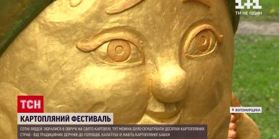 Новости Украины: фестиваль картофеля - в Житомирской области участники удивляли рецептам