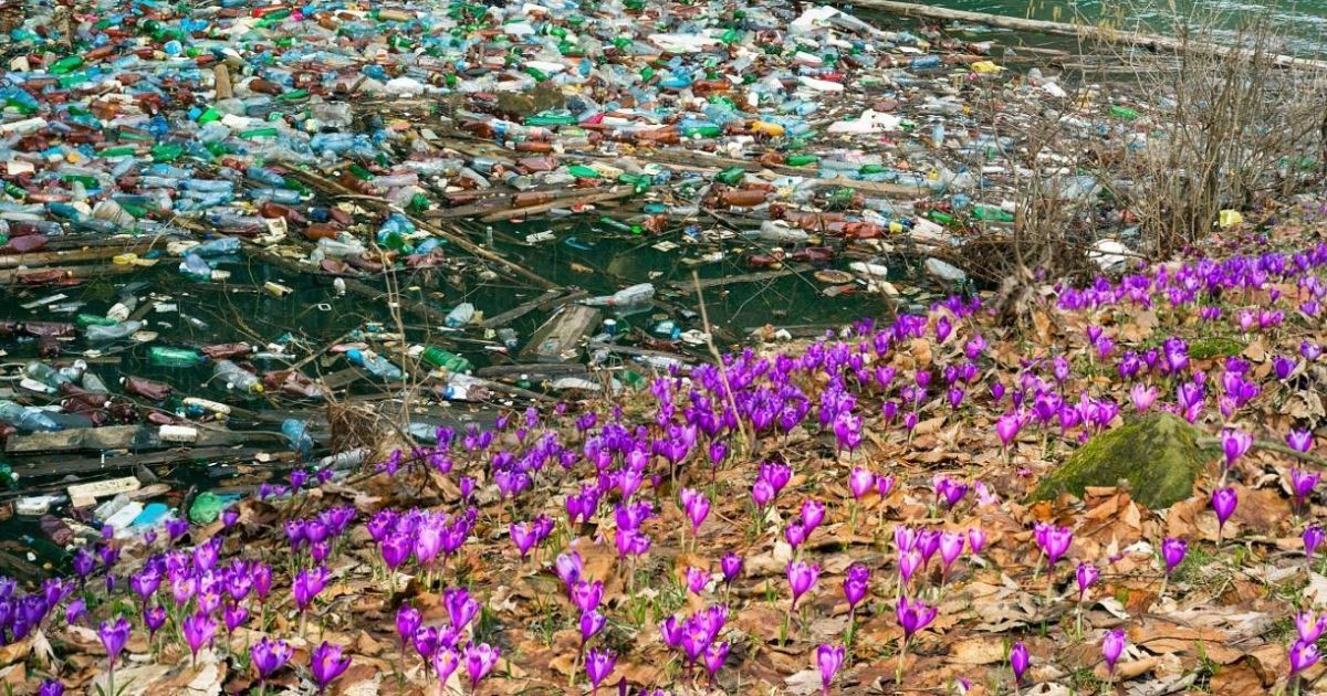 забруднене Закарпаття, Колочава_3 / © Facebook/Роман Михайлюк