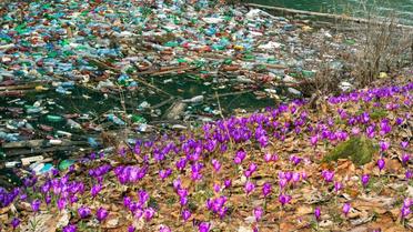 забруднене Закарпаття, Колочава_3 / © Facebook/Роман Михайлюк