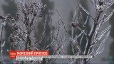 Арктический воздух принес в Украину похолодание