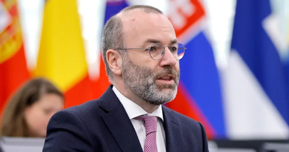Глава крупнейшей фракции Европарламента Манфред Вебер