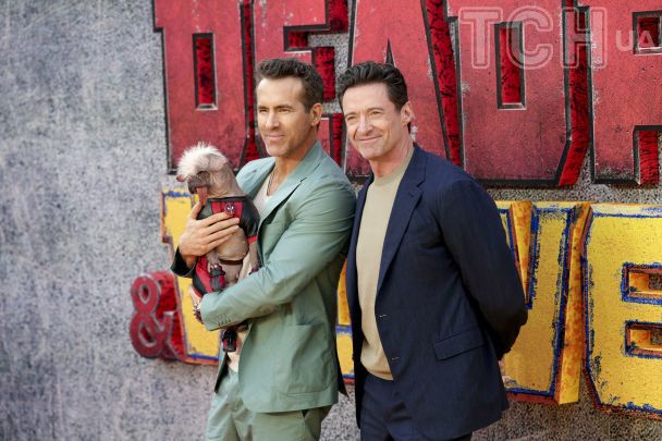 Догпул / © Associated Press