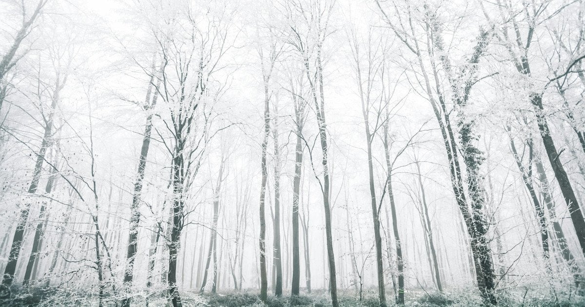 Який сьогодні, 26 грудня, день ангела