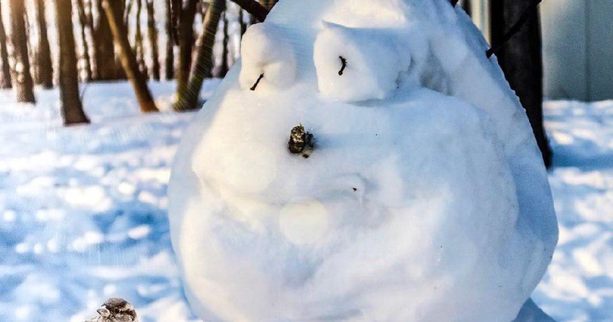 Сухо и немного морозно: синоптики рассказали о погоде на уик-энд