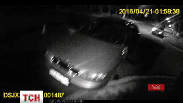 На Львівщині п’яний водій, тікаючи від поліцейських, травмував 5 осіб