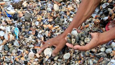 Наслідки тайфуну на Філіппінах / © Reuters