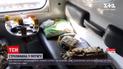Новости Украины: какие мотивы стрельбы в вагоне поезда "Константиновка-Киев"