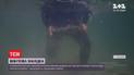 Опасная находка в курортной Кирилловке: из воды достали боеприпас