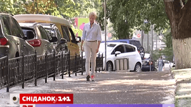 В Китаї тополям роблять протизаплідні ін’єкції