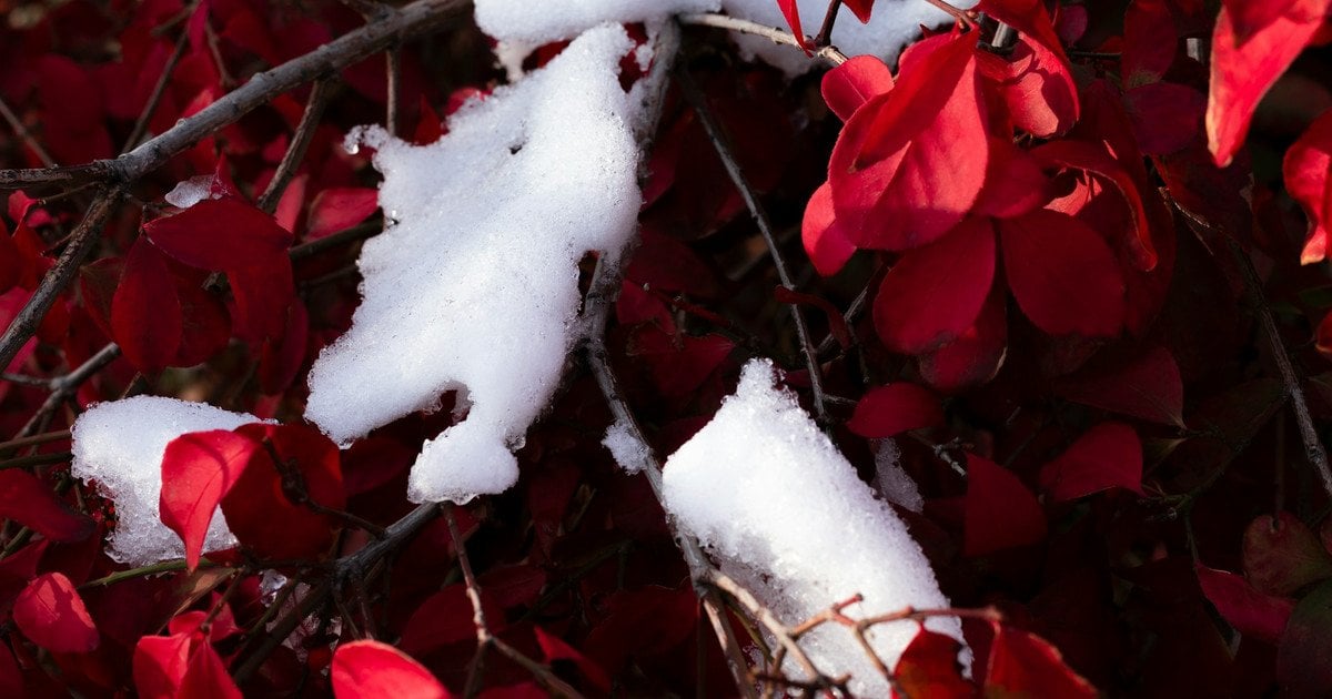 Какой сегодня, 29 ноября, день ангела