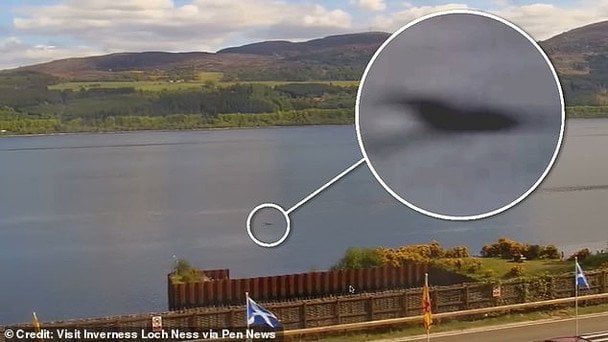 Ймовірне дитинча Лохнеського чудовиська Нессі / © visitinvernesslochness.com
