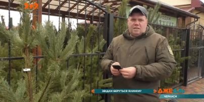 В Україні активізувалися любителі живих дерев, тож на захист ялинок вийшли спеціальні патрулі