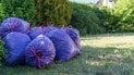 Як позбутися запаху зі смітника