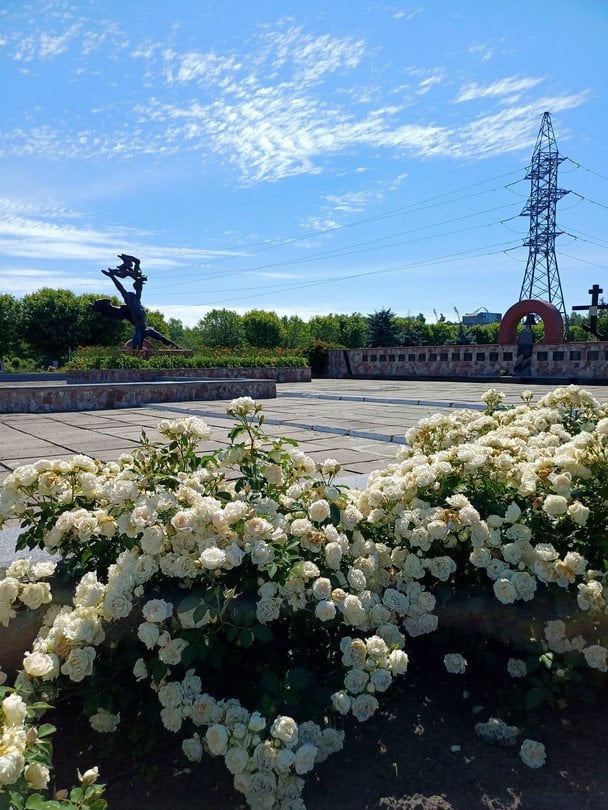 Квіти на території Чорнобильської АЕС / © Державне агентство України з управління зоною відчуження