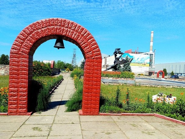 Квіти на території Чорнобильської АЕС / © Державне агентство України з управління зоною відчуження