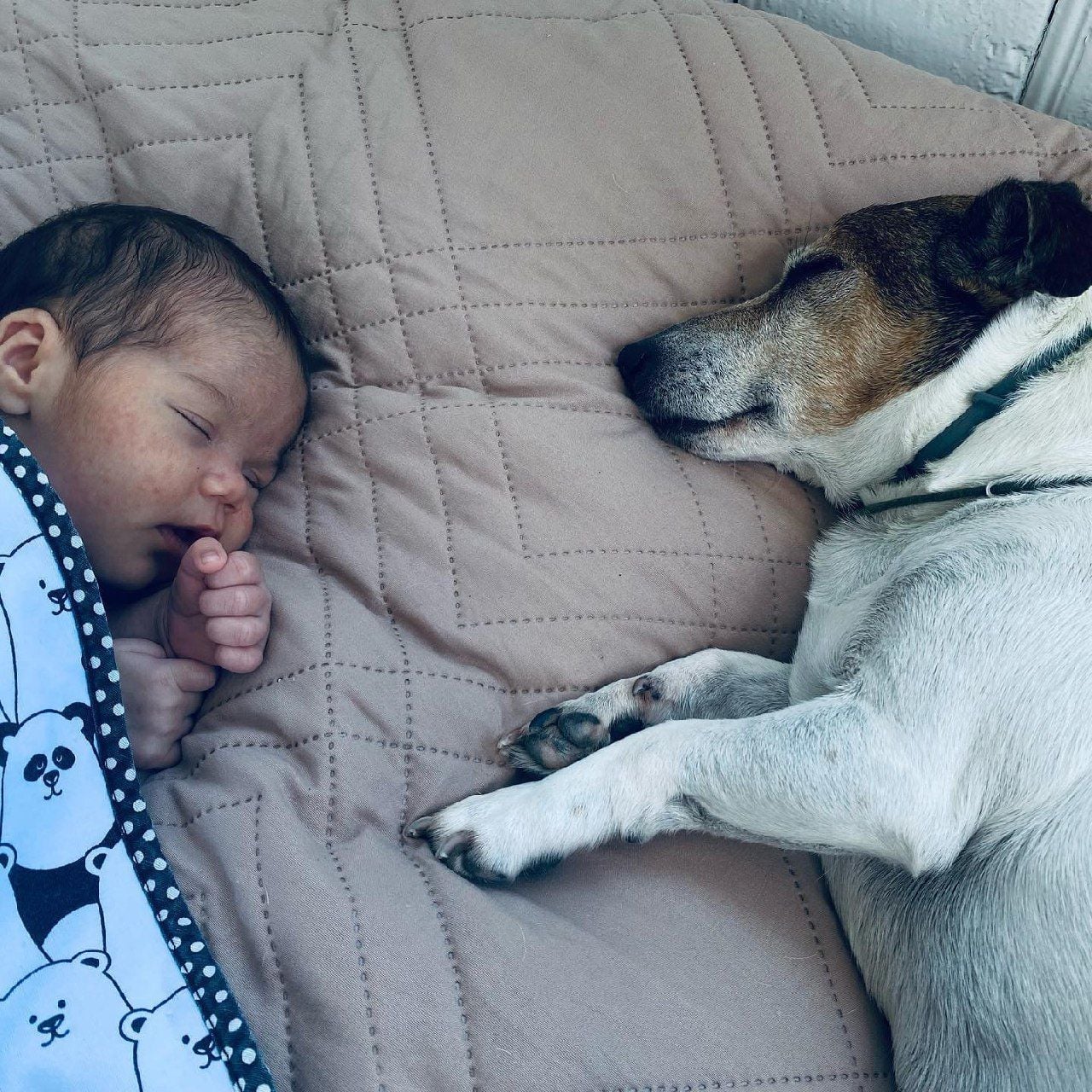 Дочь Наты Жижченко / © instagram.com/onukaofficial