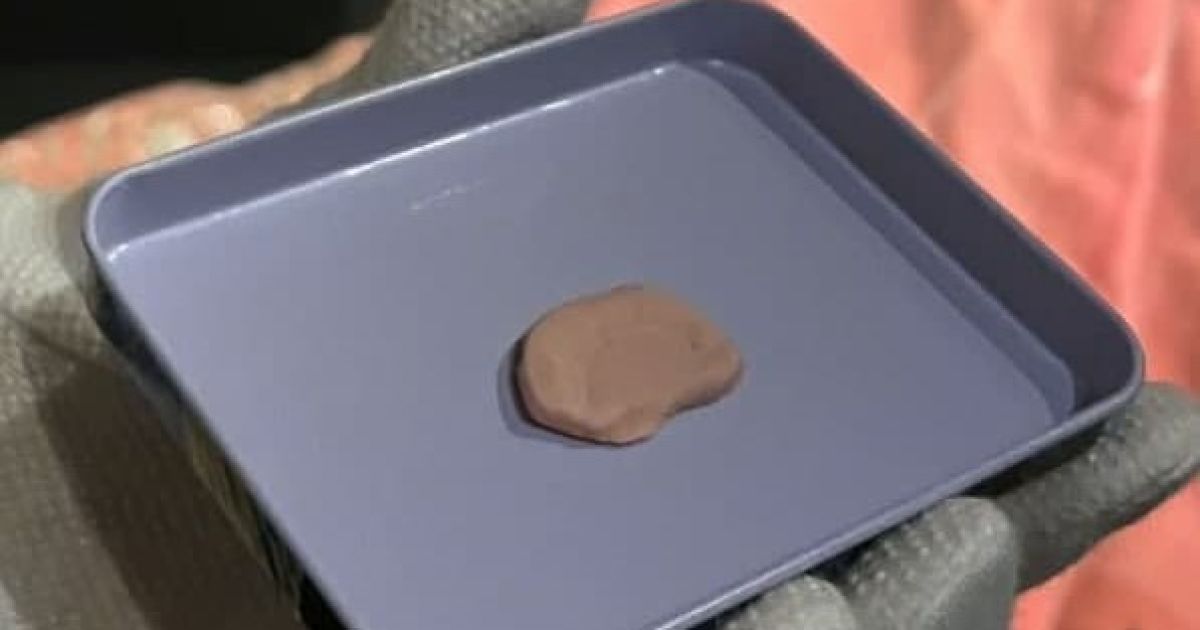 В Эрмитаже объявили о неожиданной находке в одежде сестры императора Николая II (фото, видео)