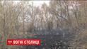 На окраине столицы продолжает тлеть трава после ночного пожара