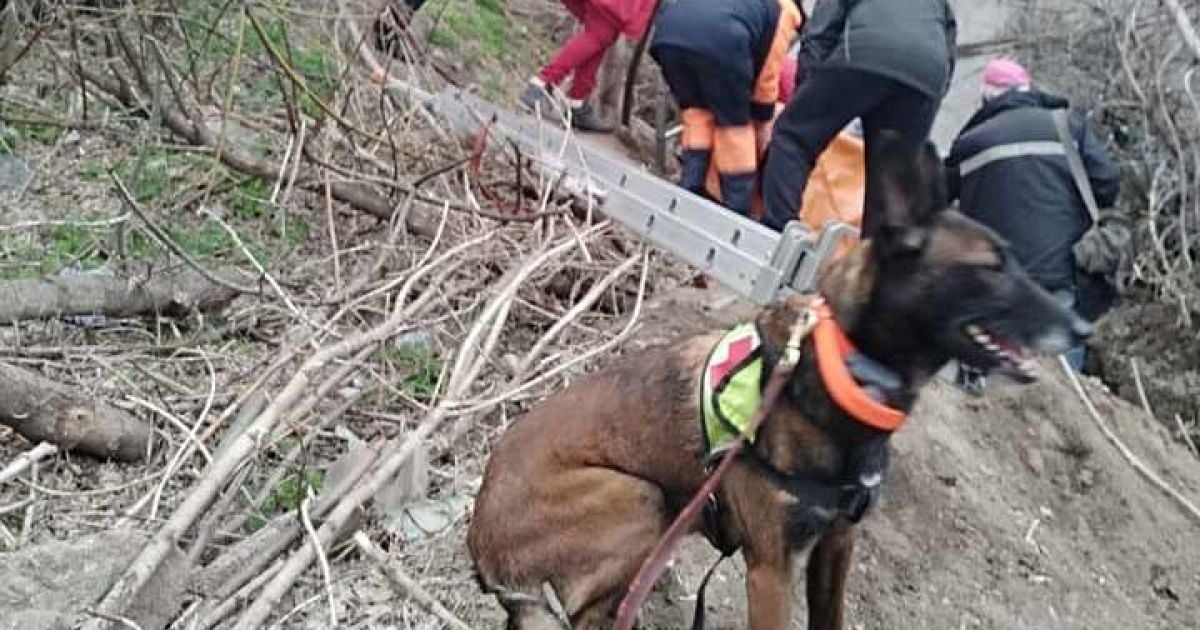 У Дніпрі пес знайшов жінку, яка просиділа у колодязі дві доби