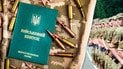Мобилизация в Украине