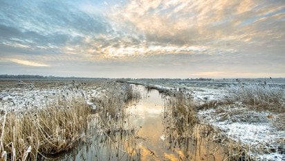Зимовий пейзаж