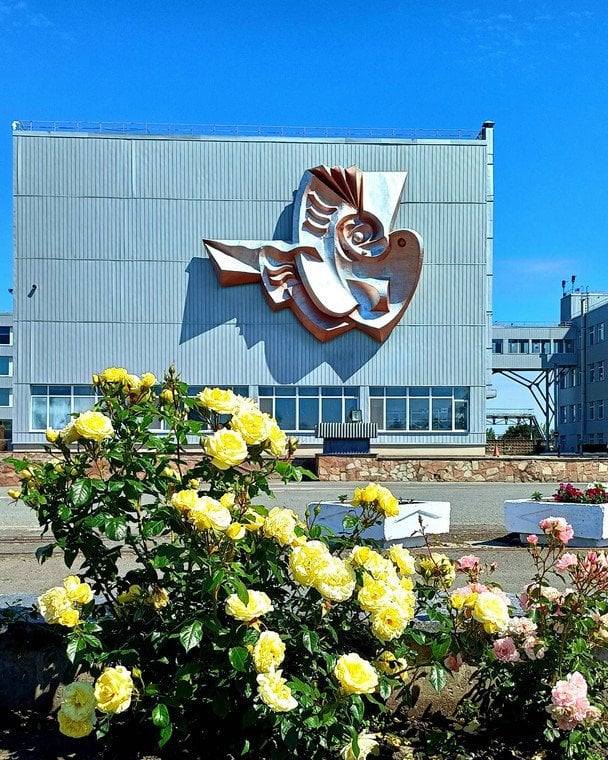 Квіти на території Чорнобильської АЕС / © Державне агентство України з управління зоною відчуження