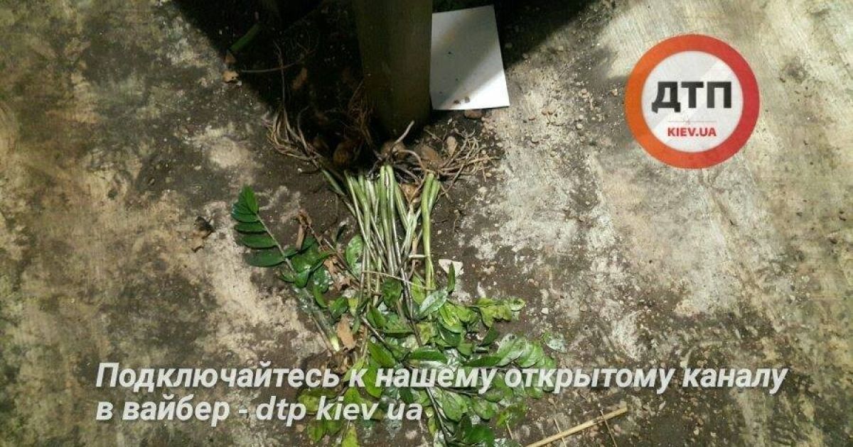 бійка у Києві_6 / © dtp.kiev.ua