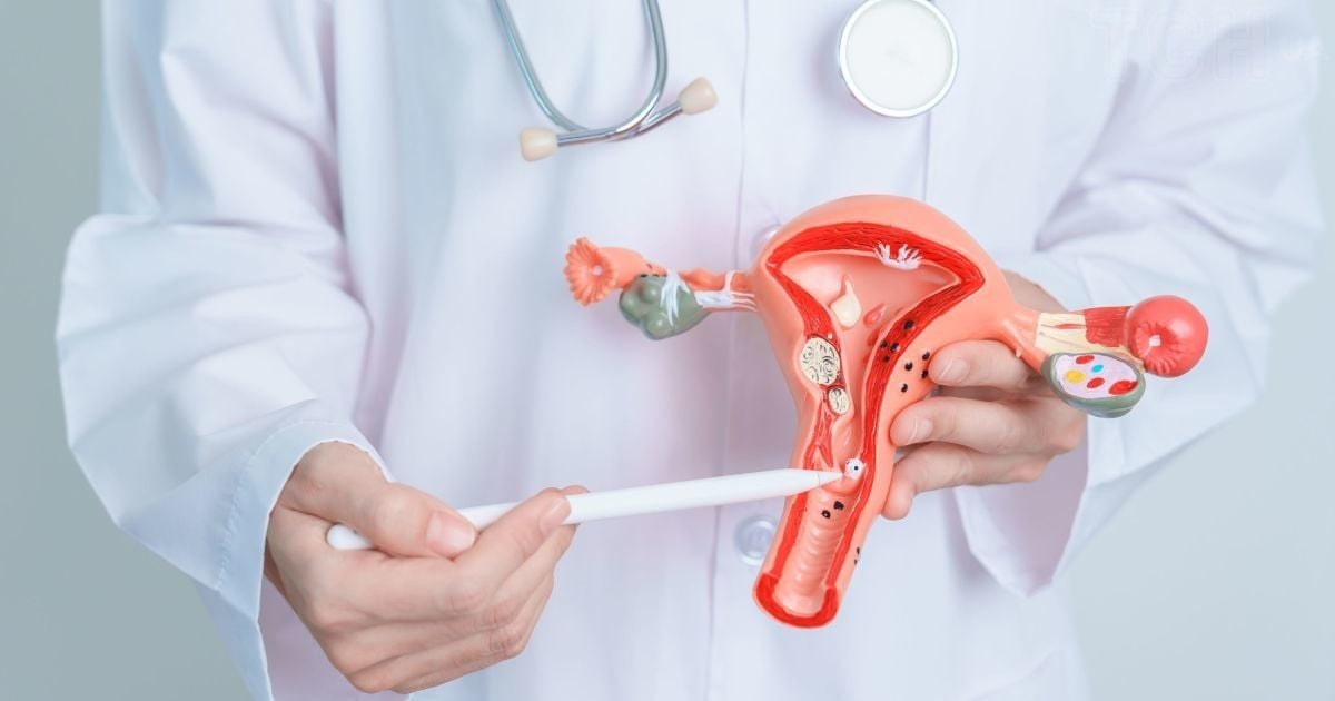 Шкідливі наслідки дезінформації: як брехня про репродукцію впливає на суспільство