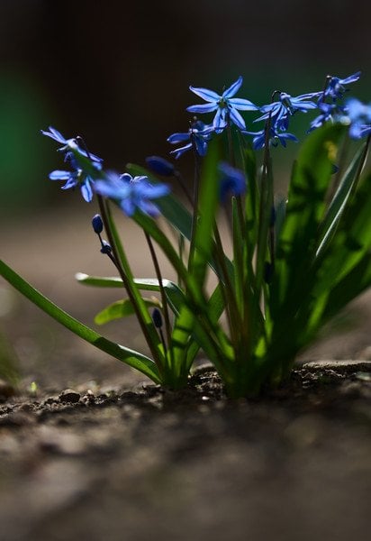Весняне тепло повертається до України