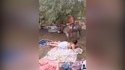 В Одессе небезразличная женщина привлекла внимание к издевательству над ослом