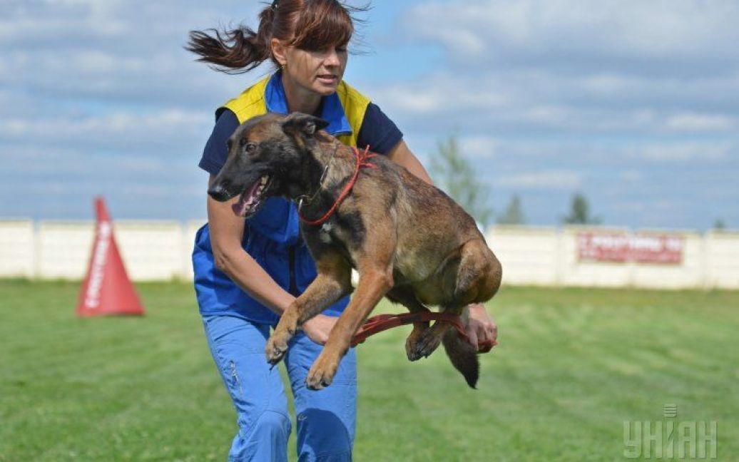 Собаки помогут силовикам пройти реабилитацию / © УНИАН