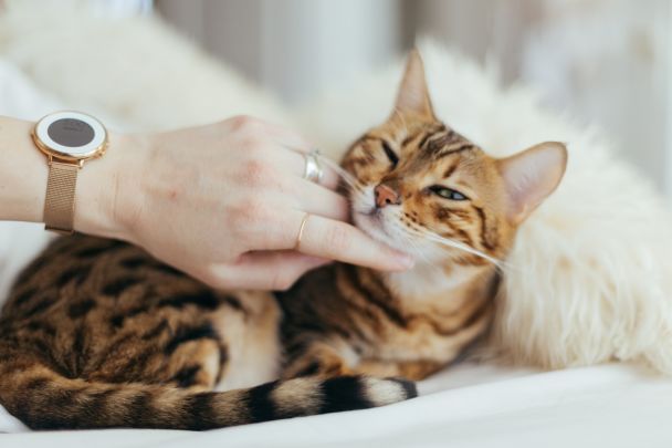  / © unsplash.com