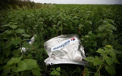 РФ передала экспертам новые данные по катастрофе MH17
